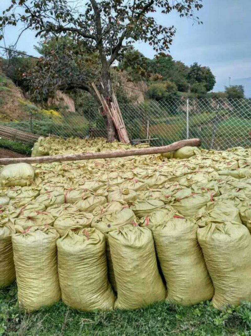 纯羊粪禽畜粪便羊粪80%(12-12-12)35kg(