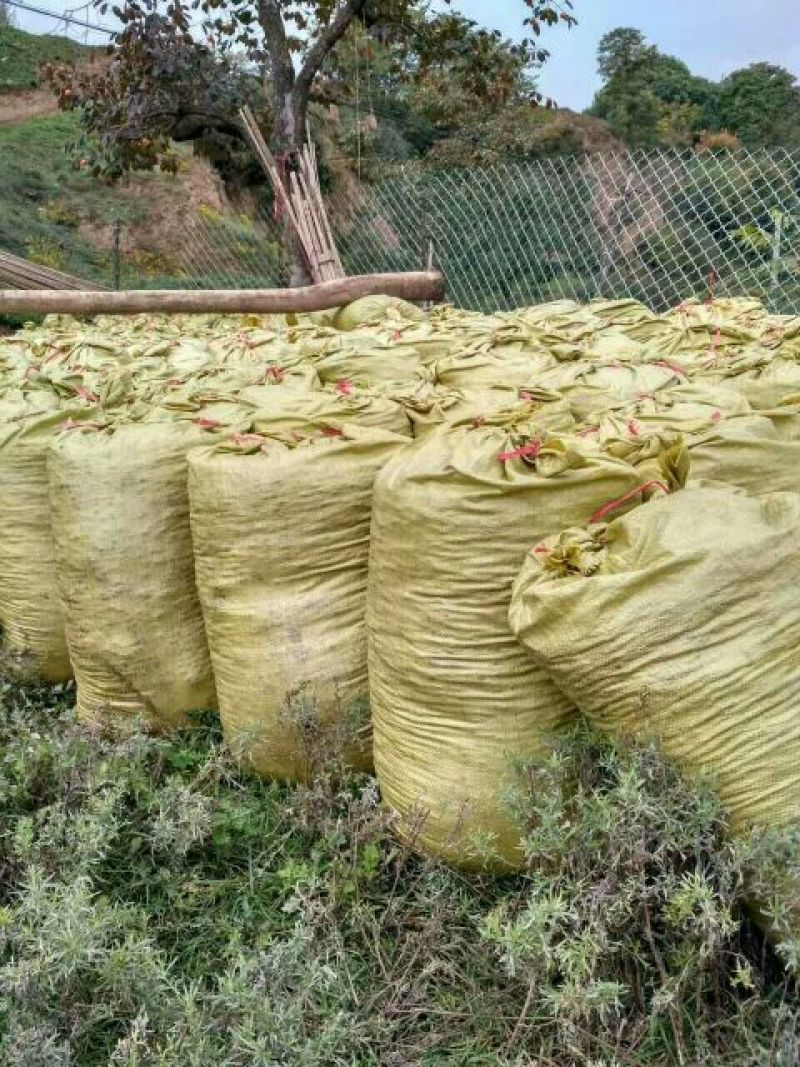 纯羊粪禽畜粪便羊粪80%(12-12-12)35kg(