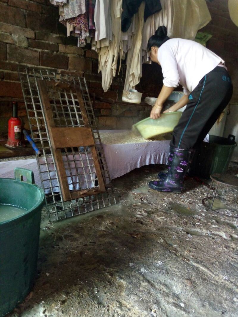 豆腐湿豆腐