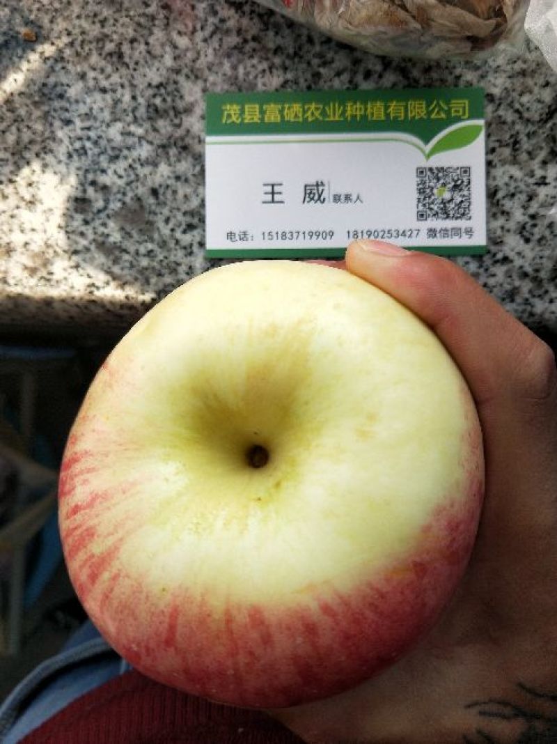 红富士苹果90mm以上膜袋