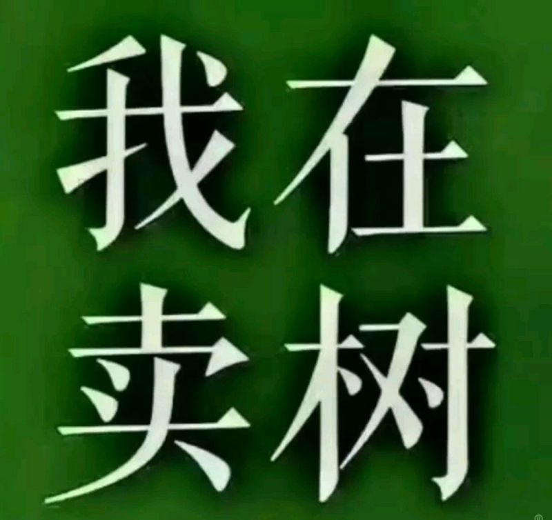 红富士苹果90mm以上膜袋