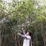 山茶油果小籽