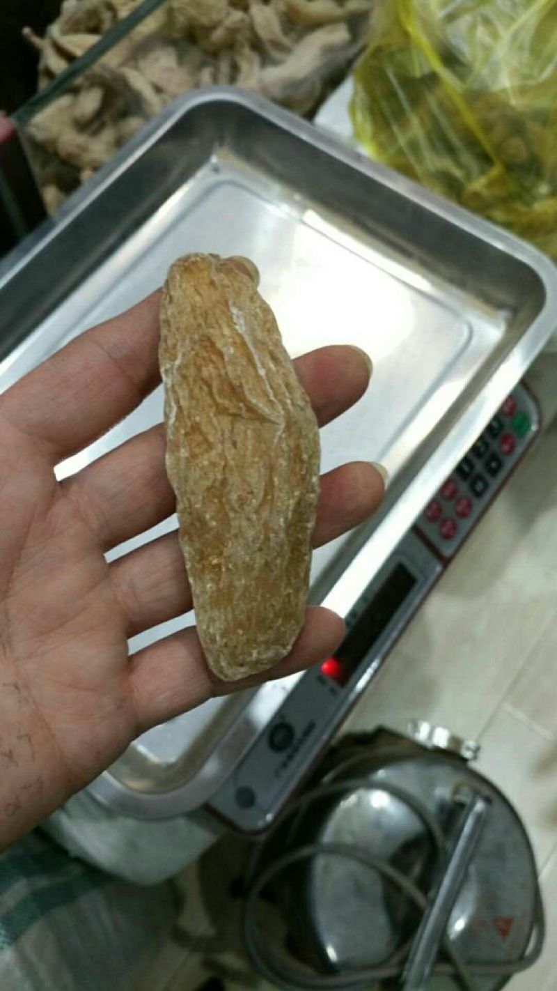 高山天麻丽江野生红嘴天麻