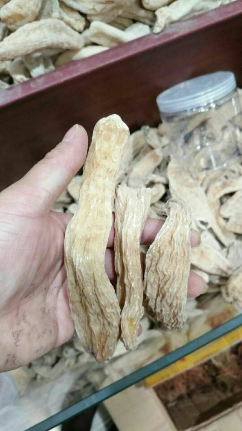 高山天麻丽江野生红嘴天麻