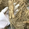 罗宇梦的一亩田店铺