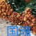 玫瑰鲜切花18朵