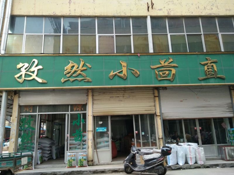 孜然