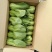 小油菜2两以上