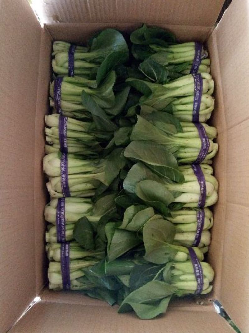 小油菜2两以上