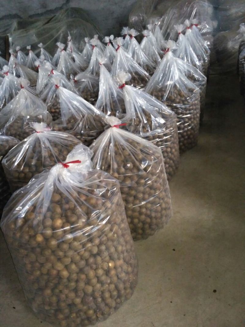 罗汉果中果要品质的来！