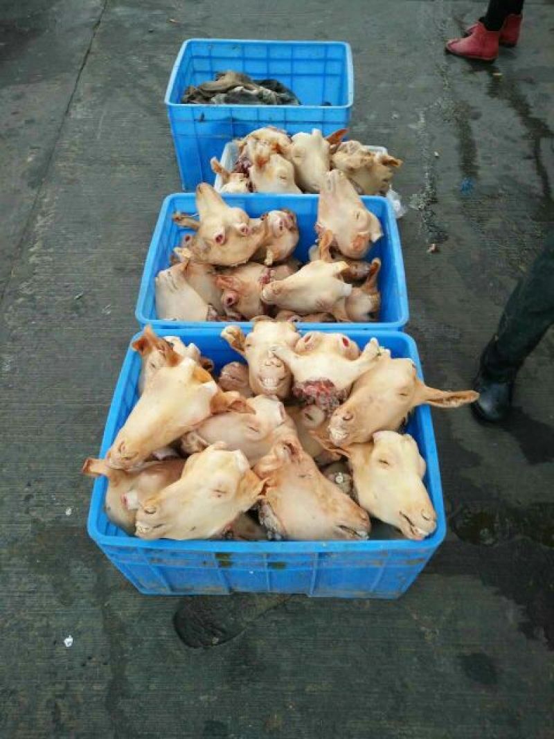 羊杂散装