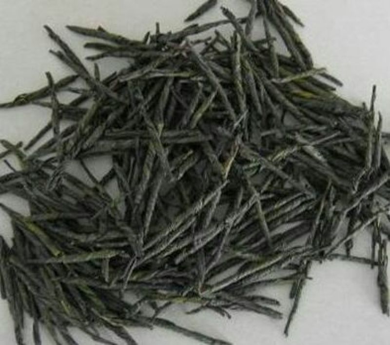 苦丁茶