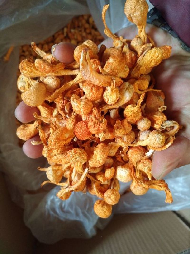 大孢子头虫草花，籽粒饱满，干净无硫黄熏，产地一手货源。