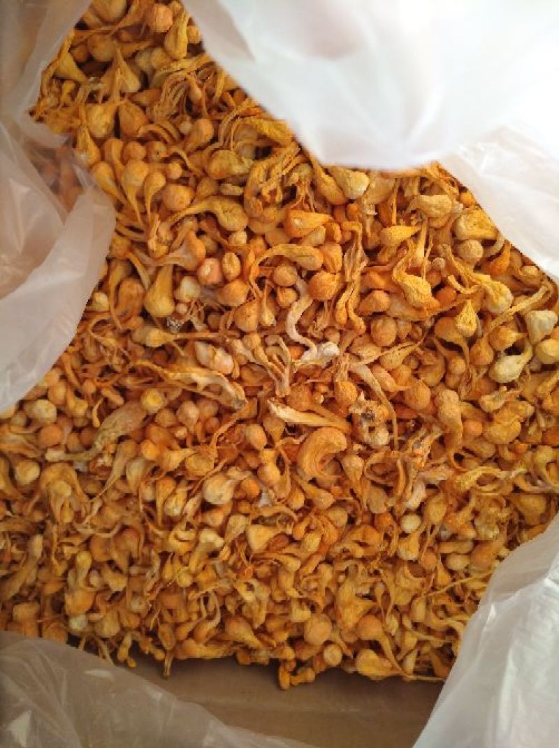 大孢子头虫草花，籽粒饱满，干净无硫黄熏，产地一手货源。