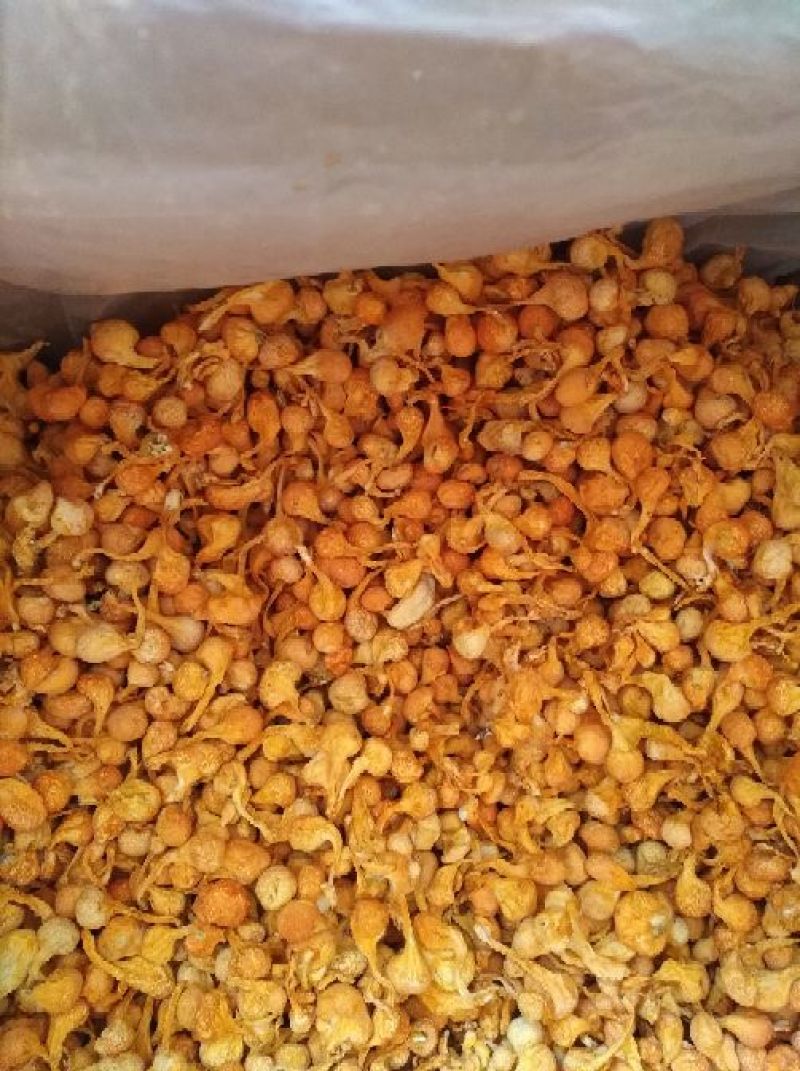 大孢子头虫草花，籽粒饱满，干净无硫黄熏，产地一手货源。