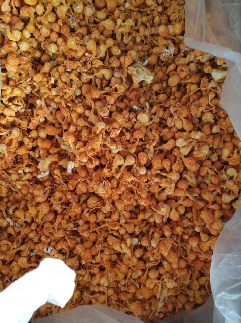 大孢子头虫草花，籽粒饱满，干净无硫黄熏，产地一手货源。