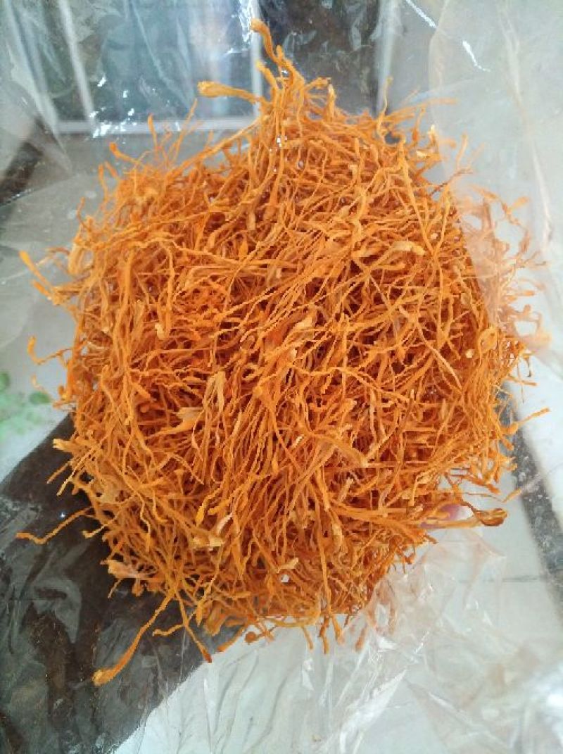 大米虫草花虫草素含量高，优质大米草虫草花出售