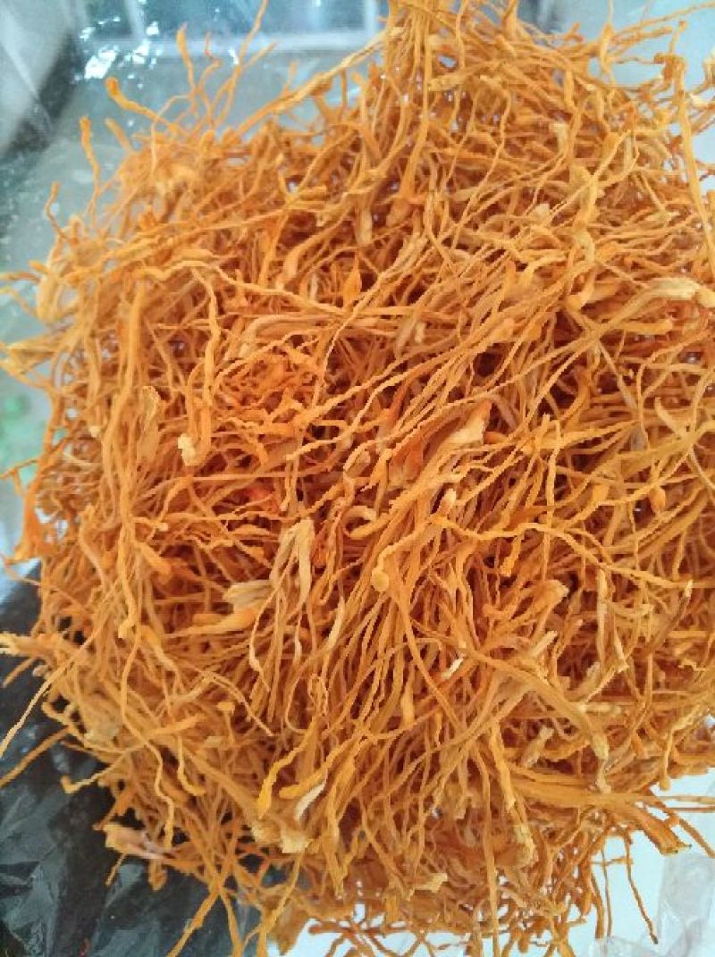 大米虫草花虫草素含量高，优质大米草虫草花出售