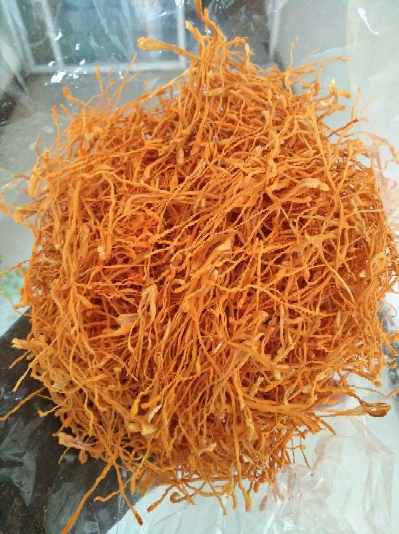 大米虫草花虫草素含量高，优质大米草虫草花出售