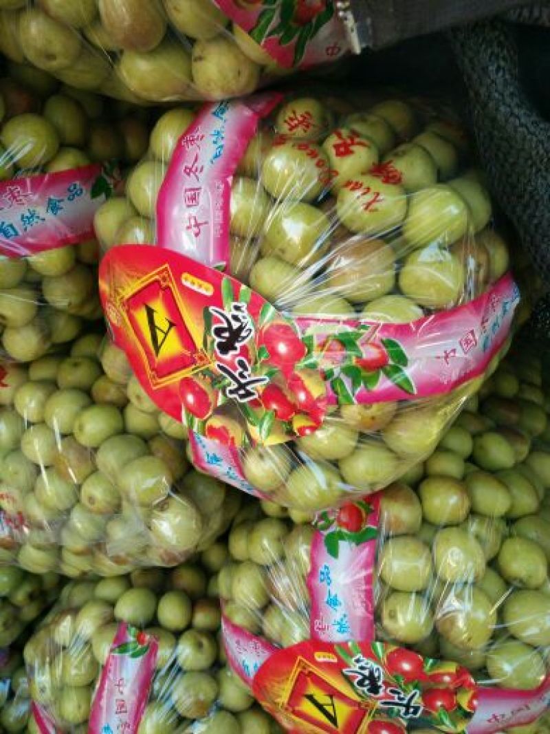 沾化冬枣大量上市，诚招代理对接各大商超，代发全国各大市