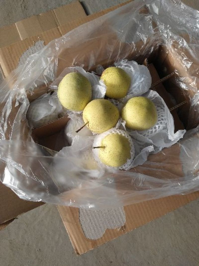 雪花梨300~350g纸箱