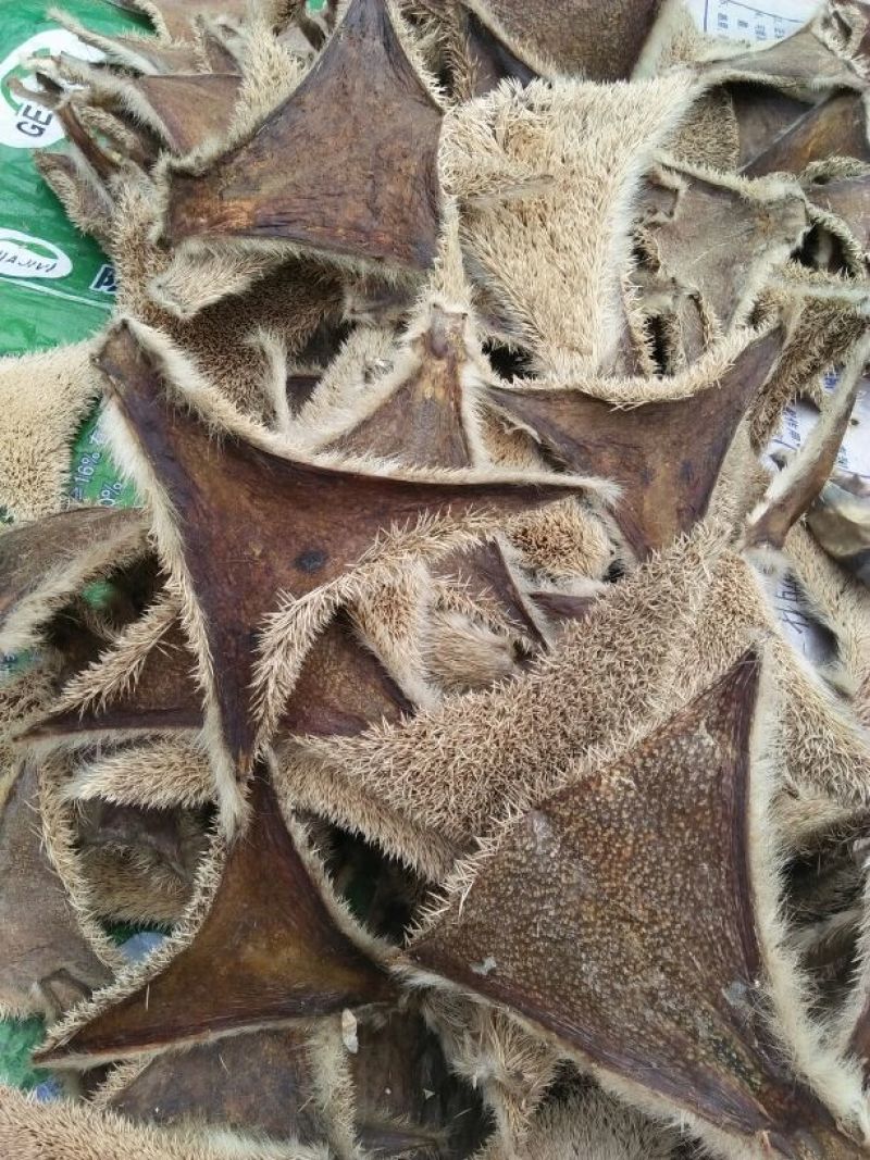刺猬皮