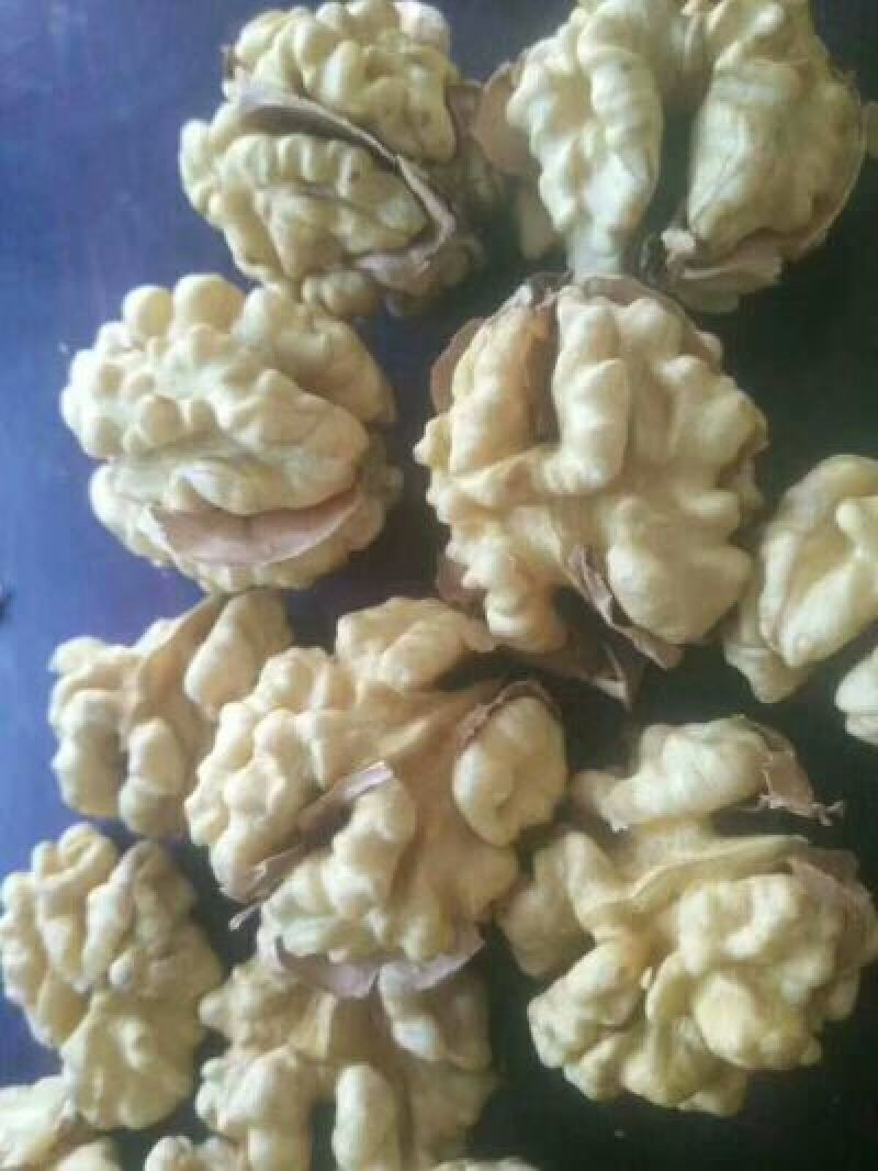 薄皮核桃去皮30mm以上干