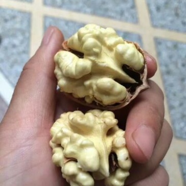 薄皮核桃去皮30mm以上干