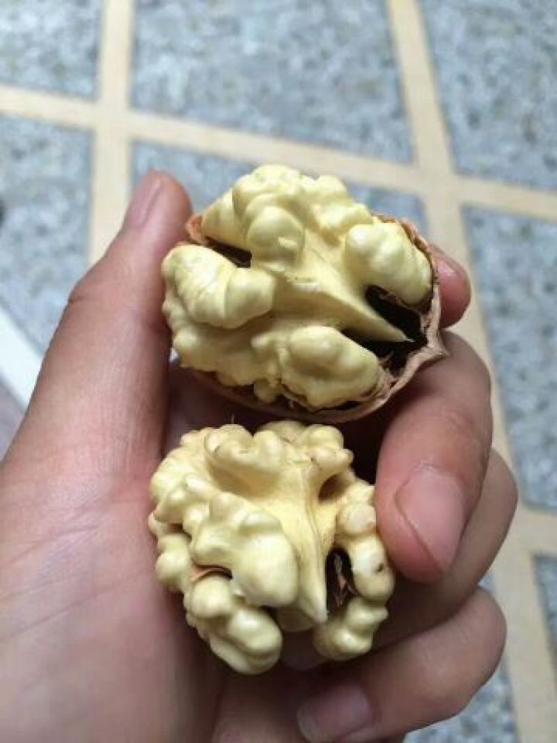 薄皮核桃去皮30mm以上干