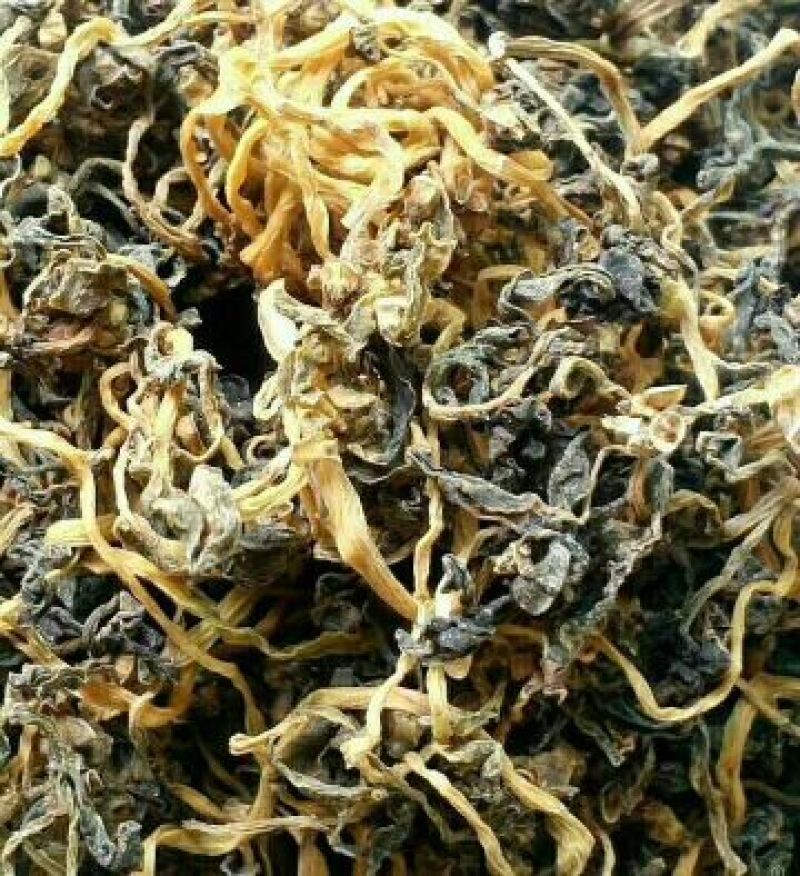 马齿苋干麻麻菜长寿菜！纯野生