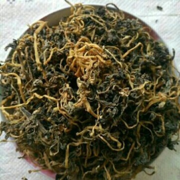 马齿苋干麻麻菜长寿菜！纯野生