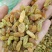 葡萄干无核一级新疆葡萄干量大从优商超直供