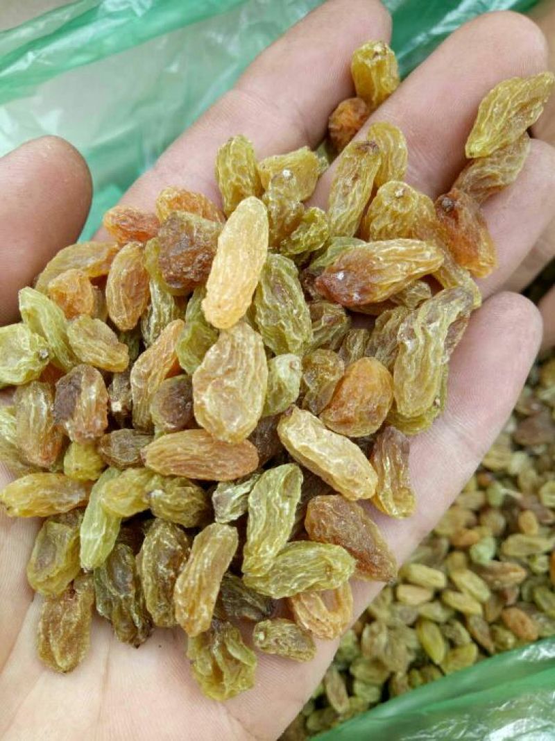 葡萄干无核一级新疆葡萄干量大从优商超直供