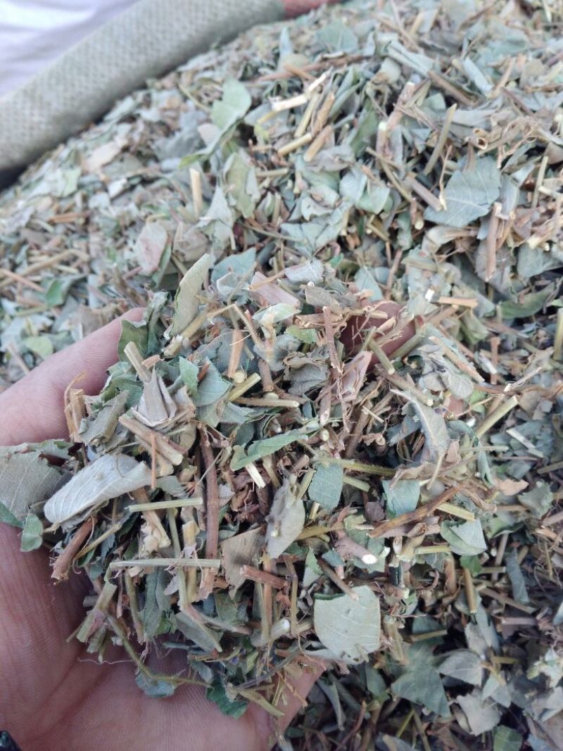 金钱草