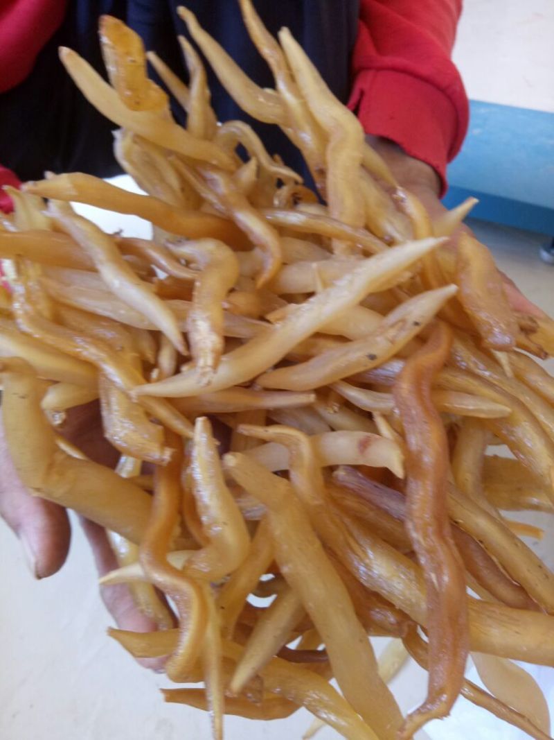 天门冬