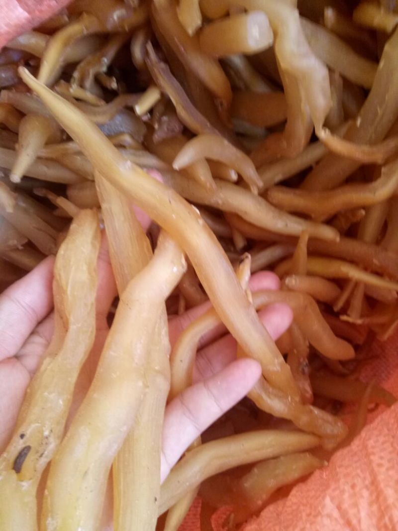 天门冬