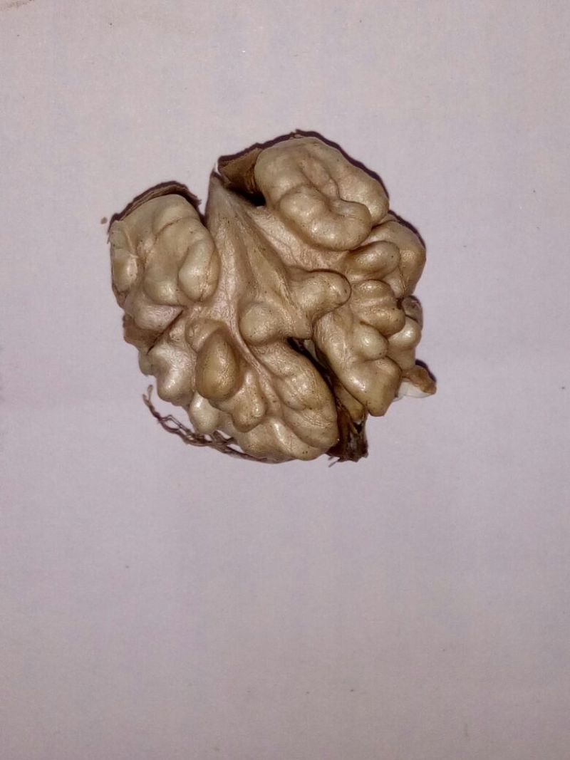 青皮核桃去皮30mm以上干
