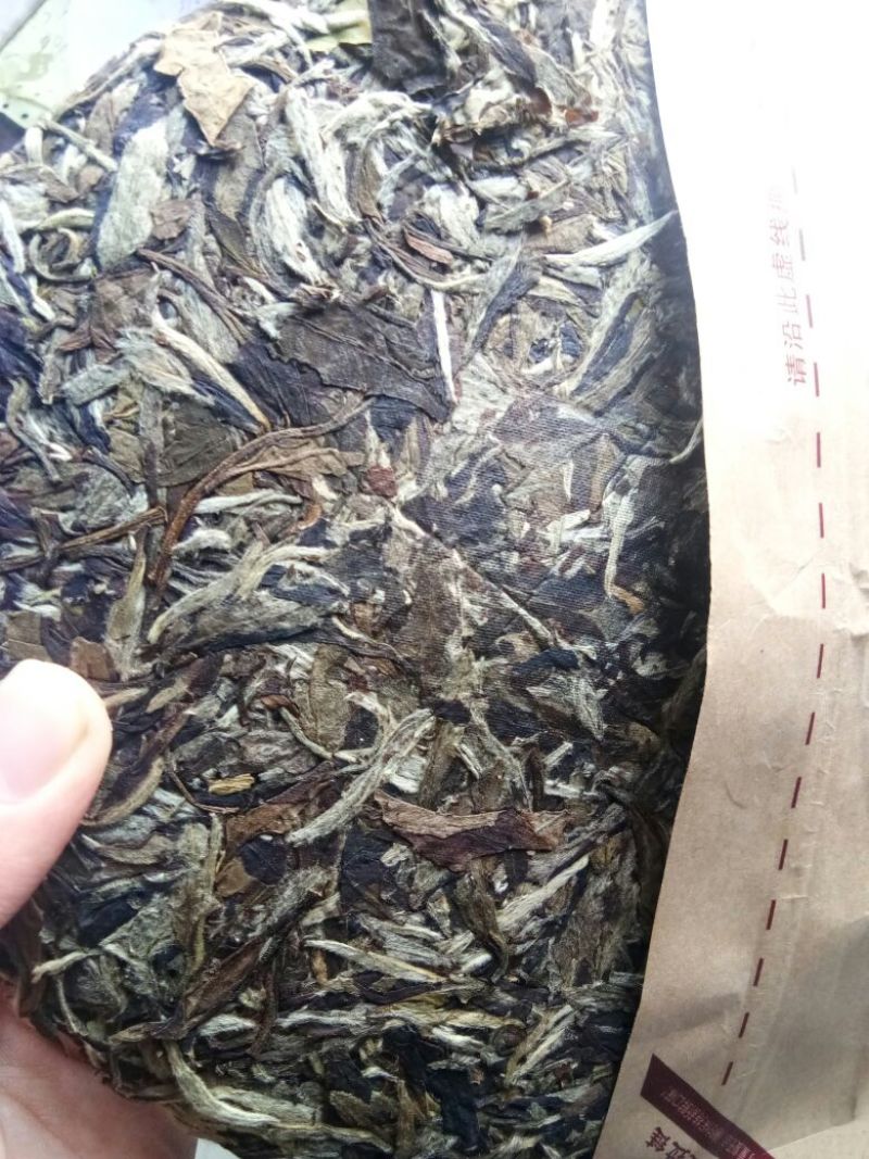 福鼎白茶一级