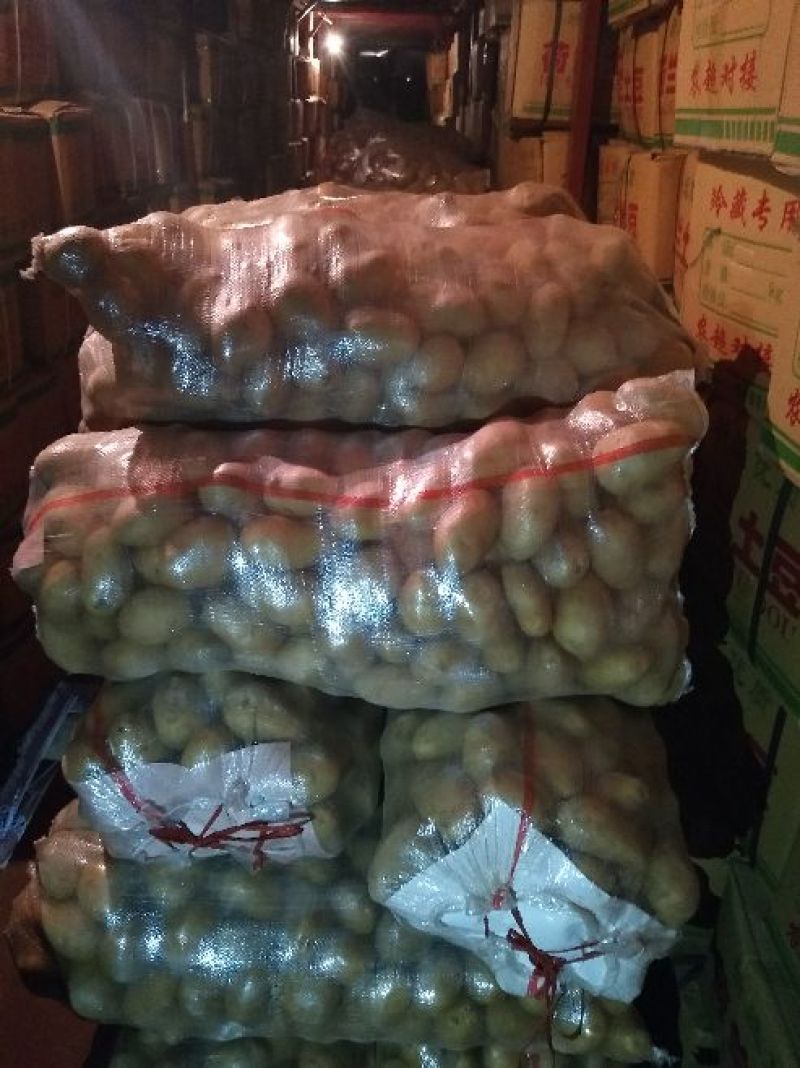 荷兰精品十五土豆2~4两货量多欢迎致电订购