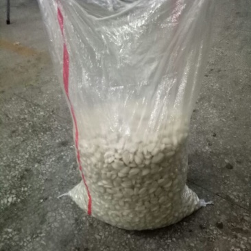 蒜米精装