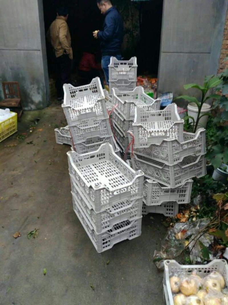 临潼石榴.大量上去市！，5斤6个一箱代发32元包邮