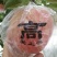 红富士苹果75mm以上纸+膜袋