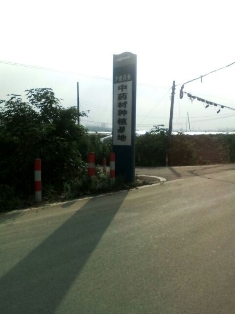 道地亳州白芍中片小片