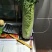麻叶青白菜4~6斤净菜质量保证现采现发