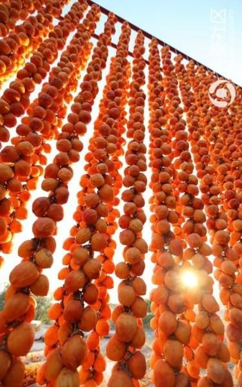 柿饼1~2两