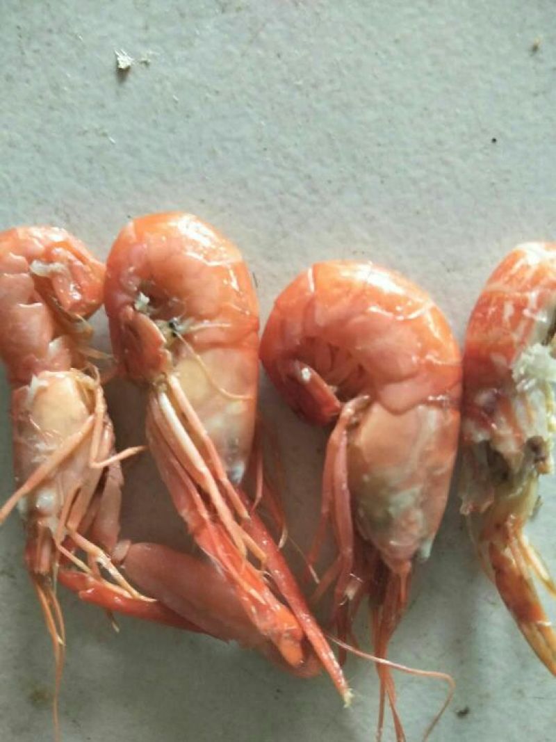 红虾食用冻虾