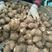 芋头，大中小球，二母，保质保量，产地直销全国发货