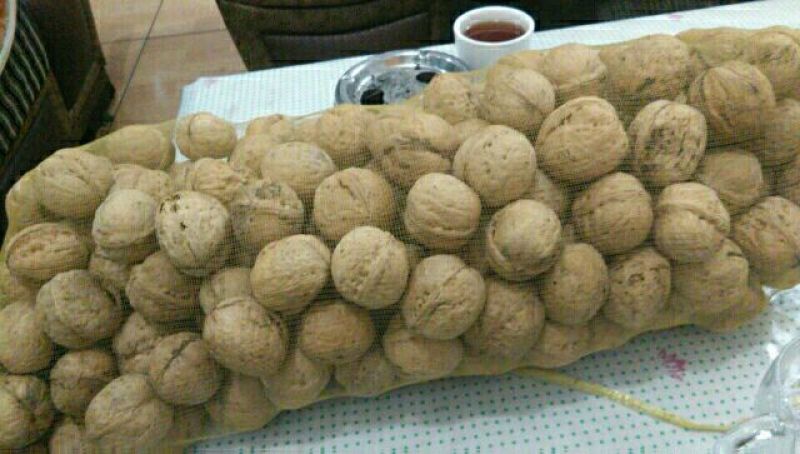 薄皮核桃25~35mm去皮干
