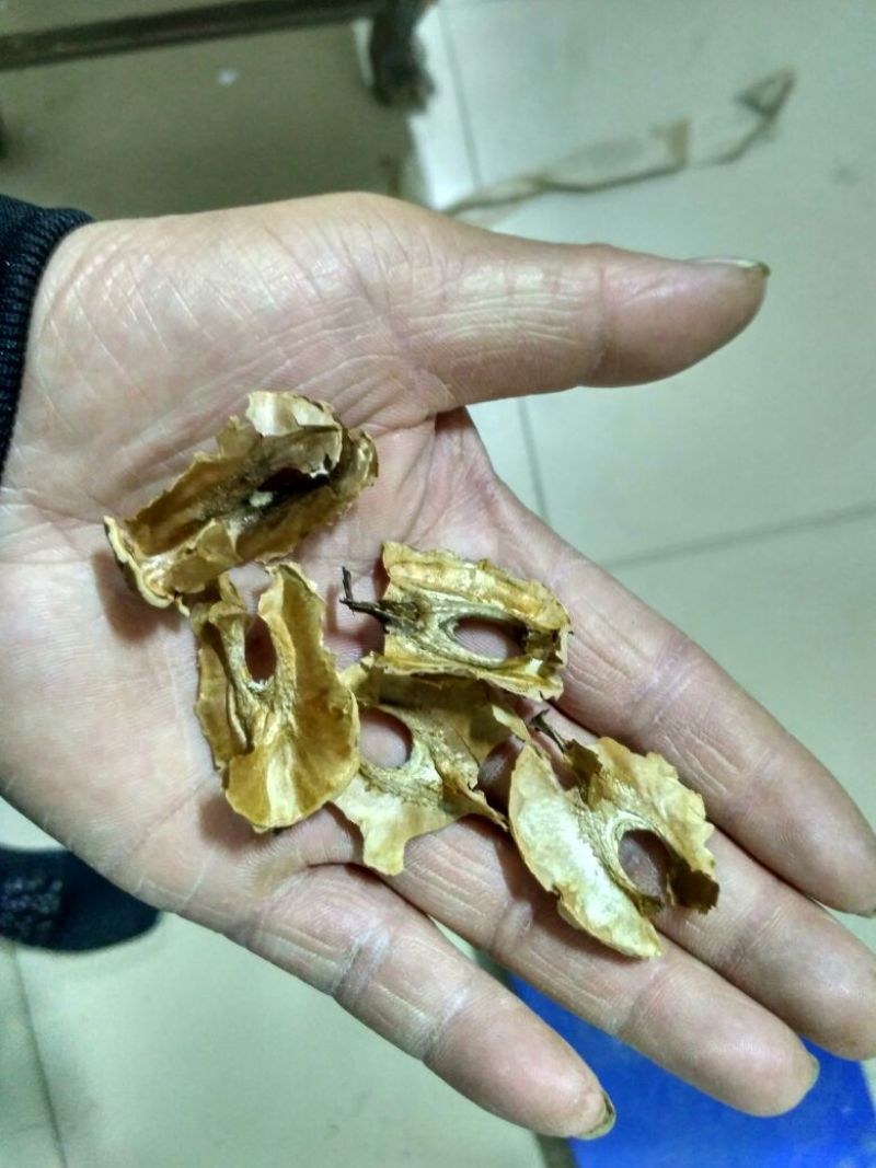分心木，全干货，货源充足，品质保证，欢迎采购
