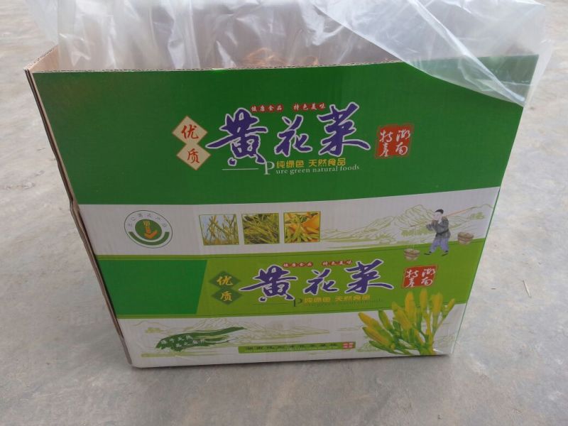 聚福黄花菜